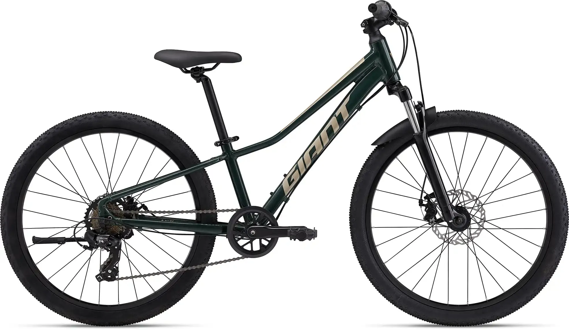 2024 Giant Talon 24 Disc