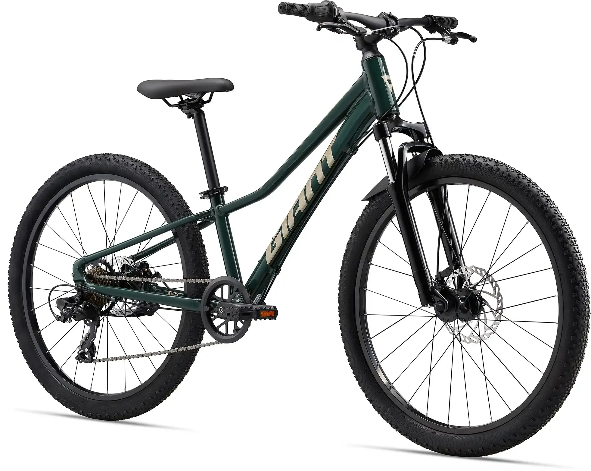 2024 Giant Talon 24 Disc