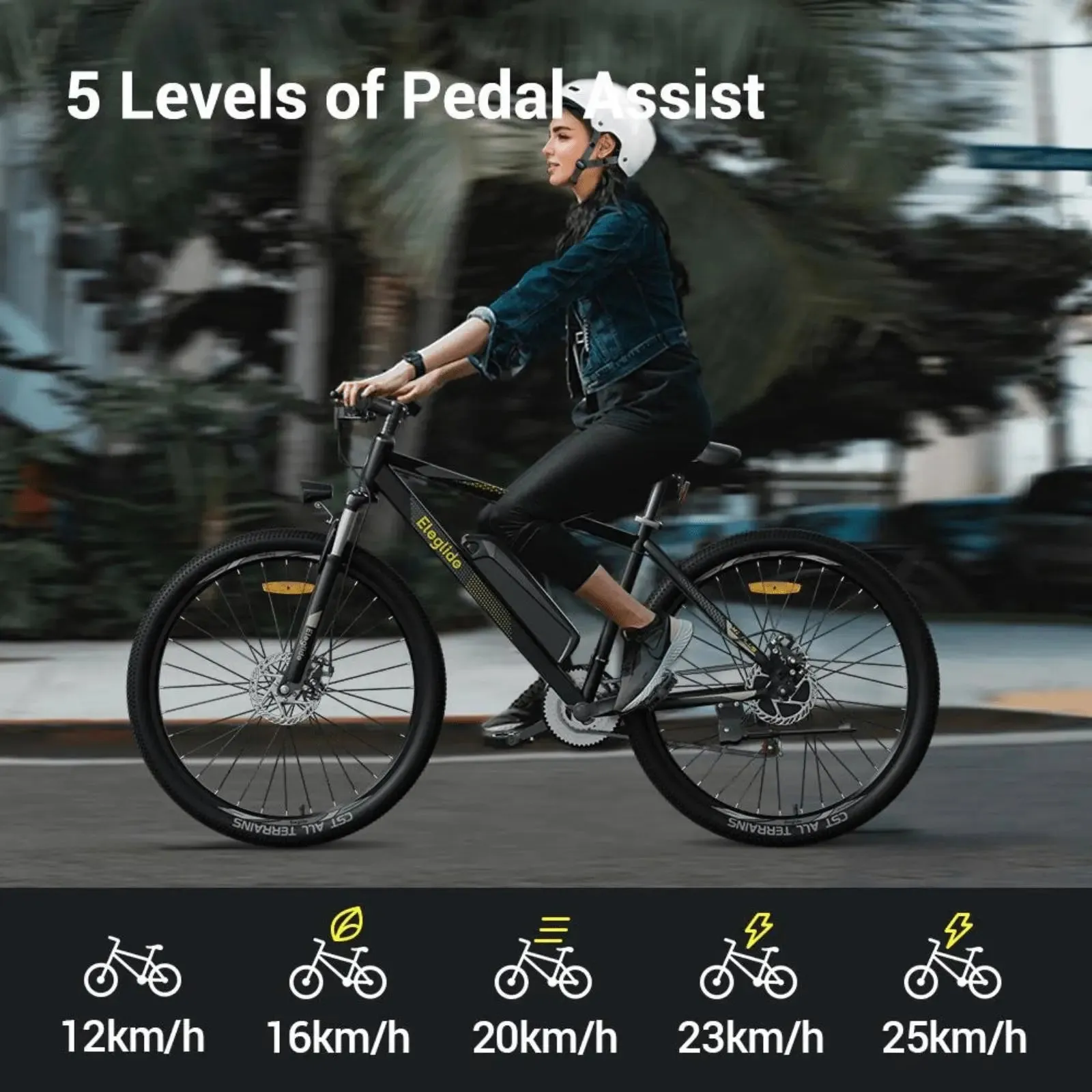 Eleglide M1 Plus Electric Mountain Bike 250W Black