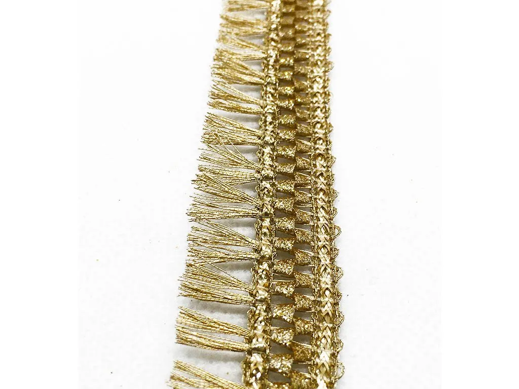 Golden Gota Tassel Work Embroidered Border