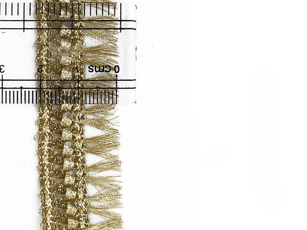 Golden Gota Tassel Work Embroidered Border