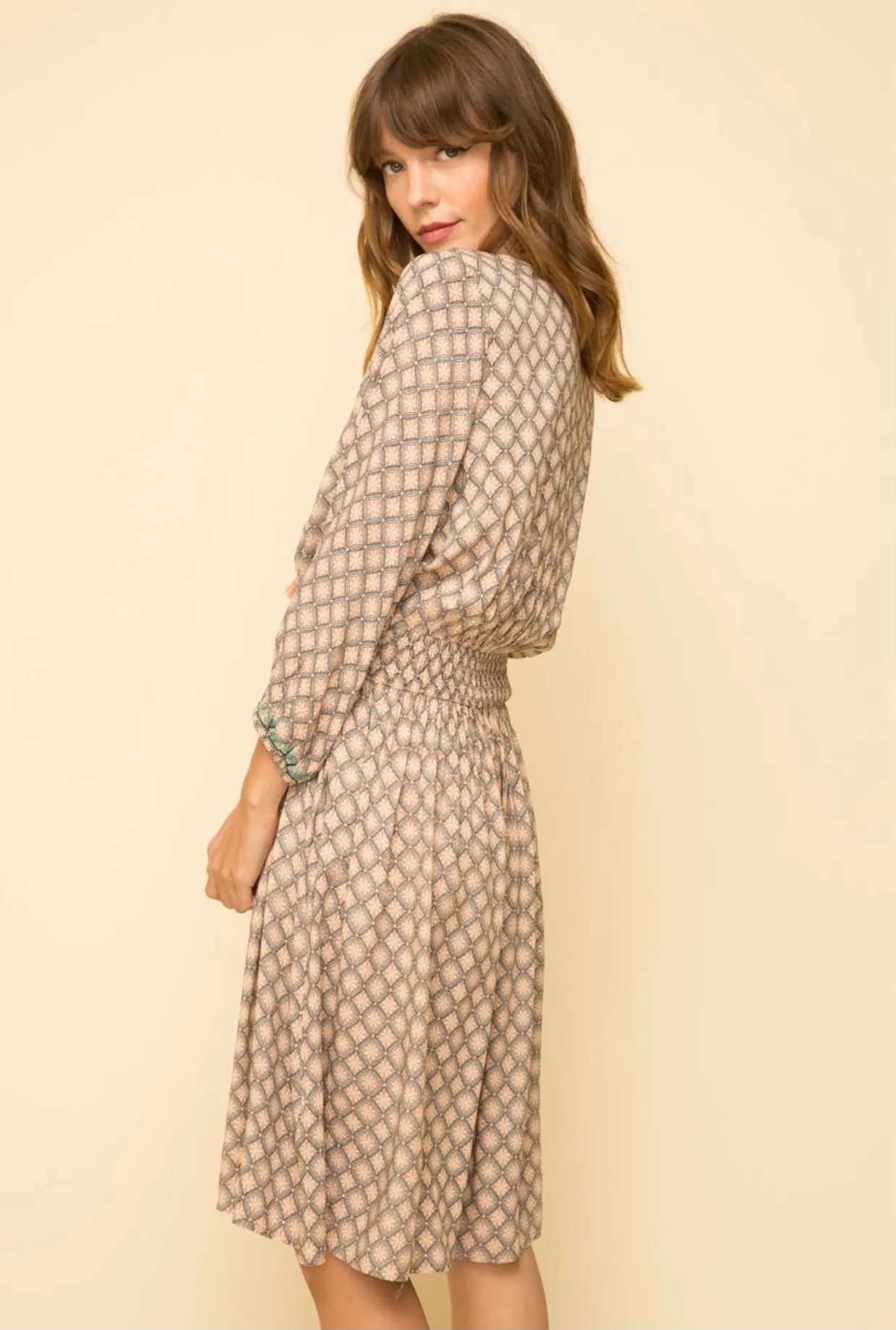Peaceful Breeze Embroidered Printed Dress