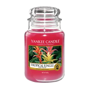 TROPICAL JUNGLE CLASSIC JAR